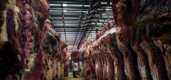 В Україні зросло виробництво м’яса
