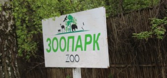 У Луцькому зоопарку буде англомовна екскурсія