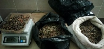 Ковельчанин хотів перевезти за кордон 13 кілограмів бурштину