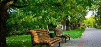 У парку 900-річчя Луцька облаштують громадську вбиральню