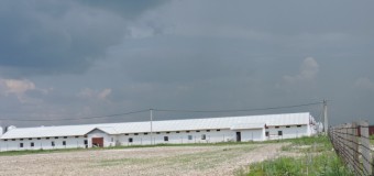 На фермі депутата Волинської обласної ради загинула людина