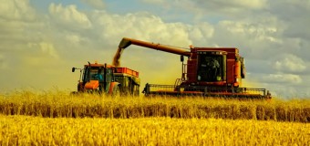 Аграрії погрожують всеукраїнським страйком