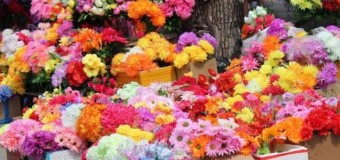 У Луцьку просять легалізувати «ринок» штучних квітів
