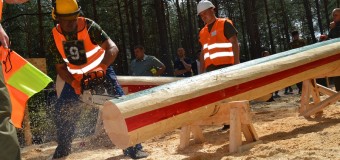 На Волині визначили, хто найкраще валить ліс