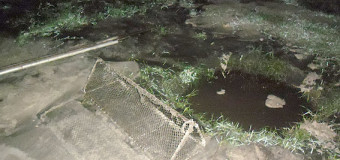 На Волині спіймали бурштинокопачів