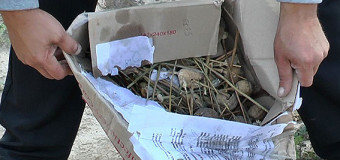 У Луцьку спалили вилучені в громадян наркотики