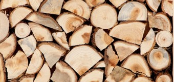 У волинської пенсіонерки зловмисники викрали дрова