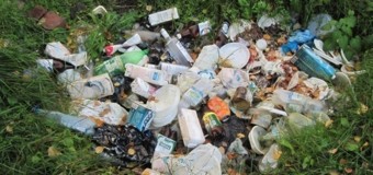 В одному із мікрорайонів Луцька сміттєзвалище на стадіоні