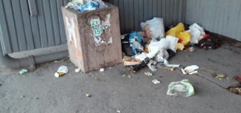 Жителі ДПЗ просять огородити смітники