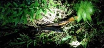 На Любешівщині затримали браконьєрів