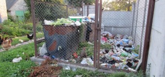 У Любомлі комунальники тижнями не вивозять сміття