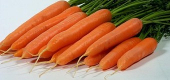 На Волині подружжя вкрало у фермера моркву