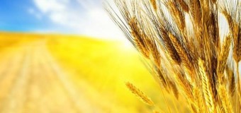 Гунчик подякував волинянам за День Незалежності без провокацій