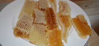 У волинському лісгоспі зібрали понад 700 кілограмів меду