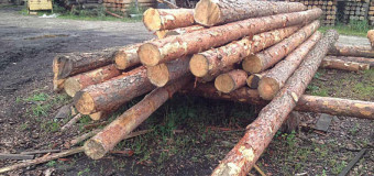 На Волині вилучили деревину на півмільйона гривень