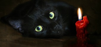 Де сьогодні в Луцьку не буде світла