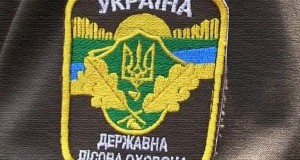 Волинянин перевозив лісопродукцію за недійсними документами