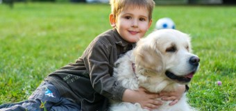 Луцьких дітей вчитимуть любити тварин