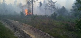 Волинські прикордонники допомогли погасити пожежу на кордоні