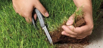 Депутат Луцькради просить знайти ділянки для учасників АТО