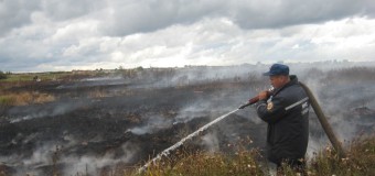 На Волині на торфовищі ліквідували пожежу