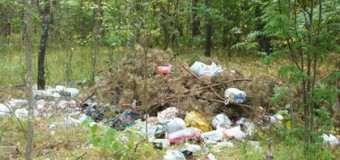 У ківерцівському лісі прибрали сміттєзвалище