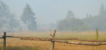 Волинські лісівники спинили пожежу на дачних масивах