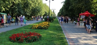 У Центральному парку Луцька просять навести лад