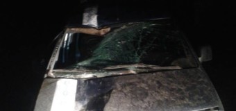 На Волині вночі сталась смертельна ДТП. Підозрюваного впіймали