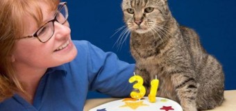 Найстаріший кіт світу відсвяткував день народження