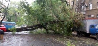В Одесі через стихію загинули три людини