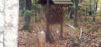 У волинському лісгоспі подбали про зимівлю тварин
