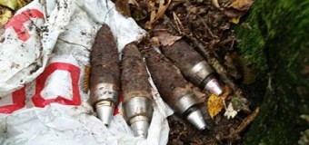 Волинянин пішов по гриби, а знайшов схрон боєприпасів. ФОТО