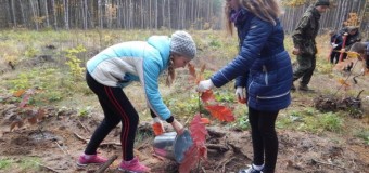 На Волині вихованці лісництва висадили дерева та прибрали ліс. ФОТО
