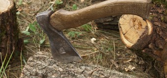 На Волині браконьєри нарубали лісу на 13 тисяч гривень