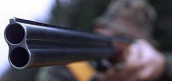У Локачинському районі упіймали браконьєрів, які застрелили кабана і дві козулі