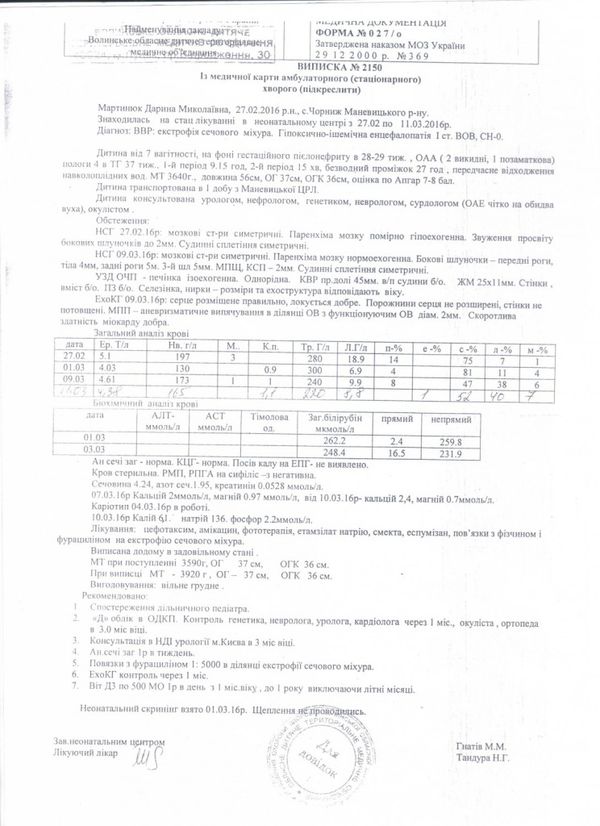 Виписка