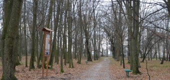 У любешівському парку лісівники створили «Лісову алею»