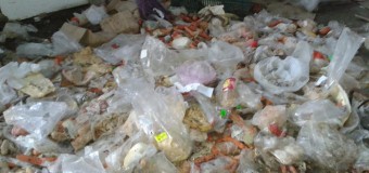 Кури в несправних холодильниках та хрін – чим годують тварин «Ласки». ФОТО