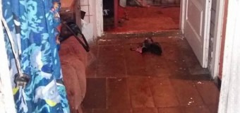 Вранці у Луцьку знайшли зарізану жінку. ФОТО