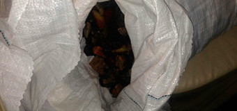 У Рівному в лучанина виявили кілька мішків бурштину