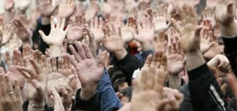 Волинські лісівники висловили свою позицію через протести в Луцьку