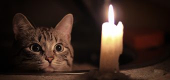 Де сьогодні в Луцьку не буде світла