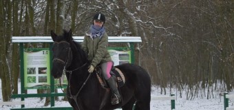 У лісах Гаразджі облаштували дві екологічні стежки. ФОТО
