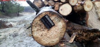 На Волині тестують програму, здатну мобілізувати роботу лісової охорони
