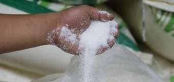 Україна збільшила виробництво цукру