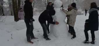 Хокейні турніри, ігри в сніжки, ліплення сніговиків — як луцькі діти проводять зиму. ФОТО
