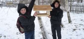 На Волині лісівники зі школярами спільно дбають про птахів