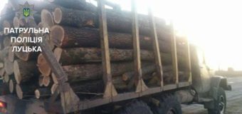 На Волині виявили деревину з неналежно оформленими документами