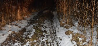 На Волині упіймали браконьєрів, які вбили самку лося. ФОТО